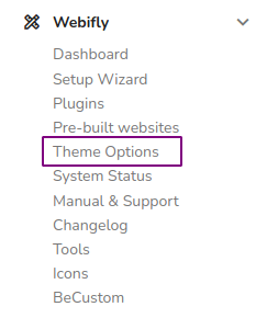 Theme Options