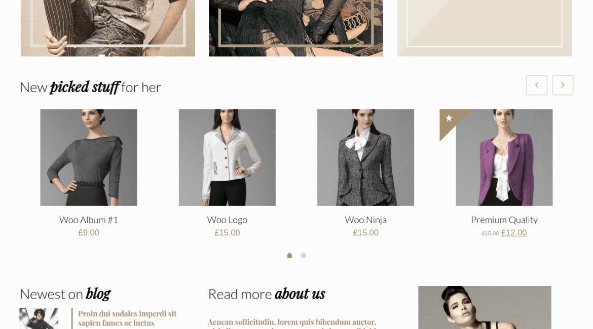 retro clothing website templates