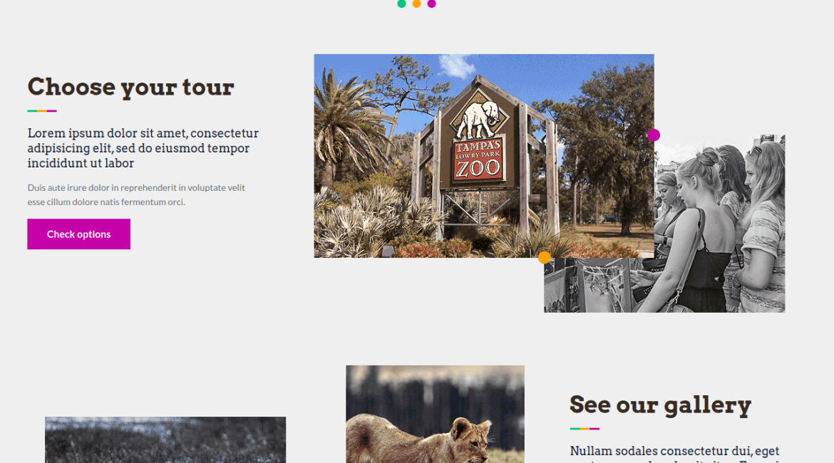 safari shorts nature powerpoint templates